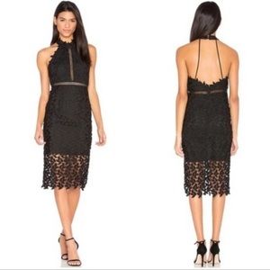 NWT BARDOT Gemma Lace Halter Cocktail Dress Black